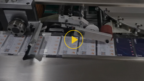 Envasadora de tarjetas, WT-008BZJ